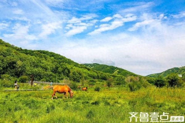 恒财网 秋日的坝上草原，是天地间最恣意的写意画卷